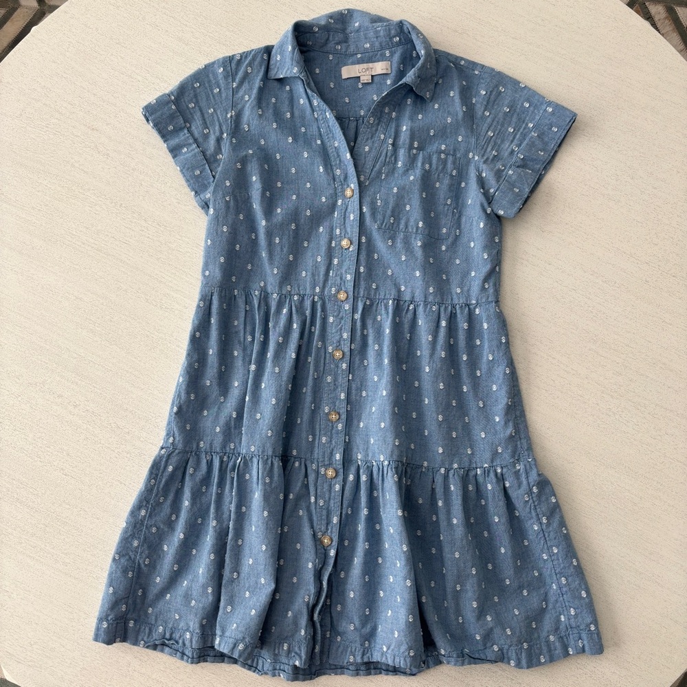 LOFT Blue and White Embroidered Dot Dress